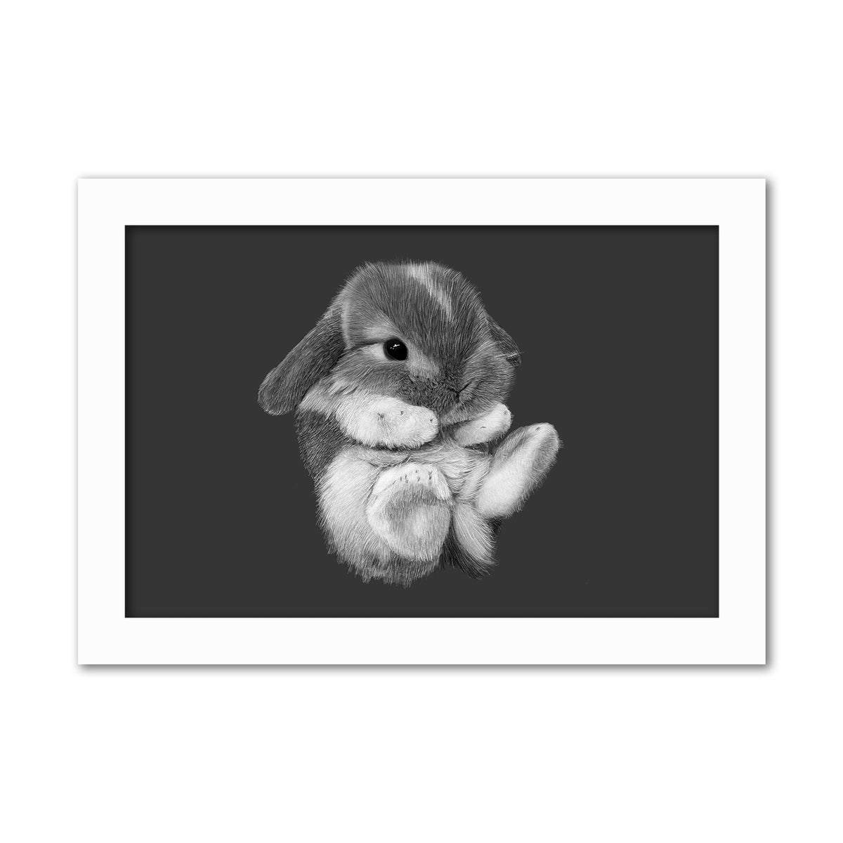 Baby Rabbit Wall Art Print