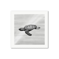 Sea Turtle in Water Wall Art Print