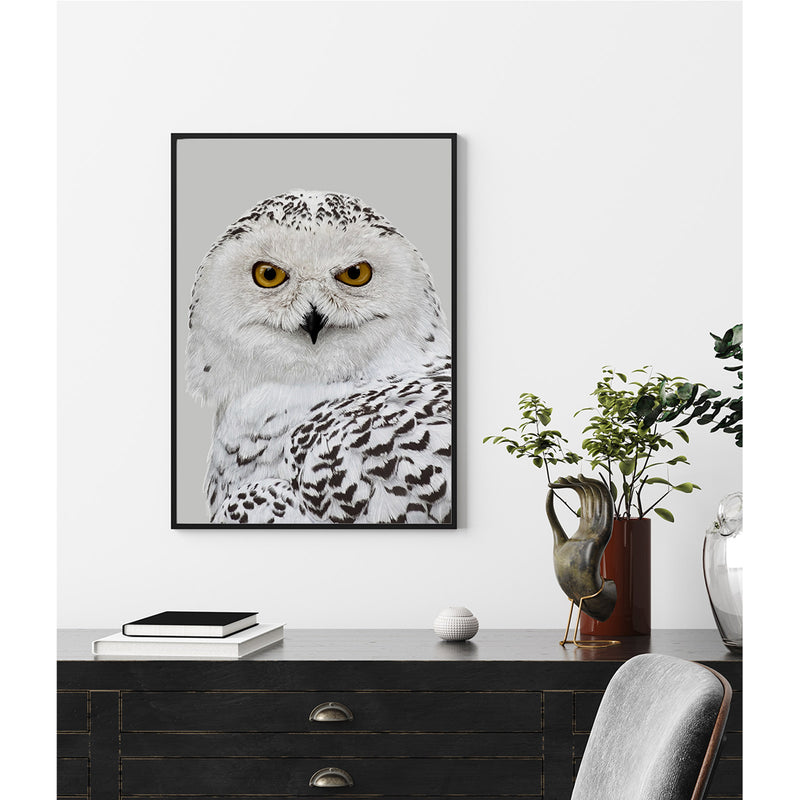 Snowy Owl Wall Art Print