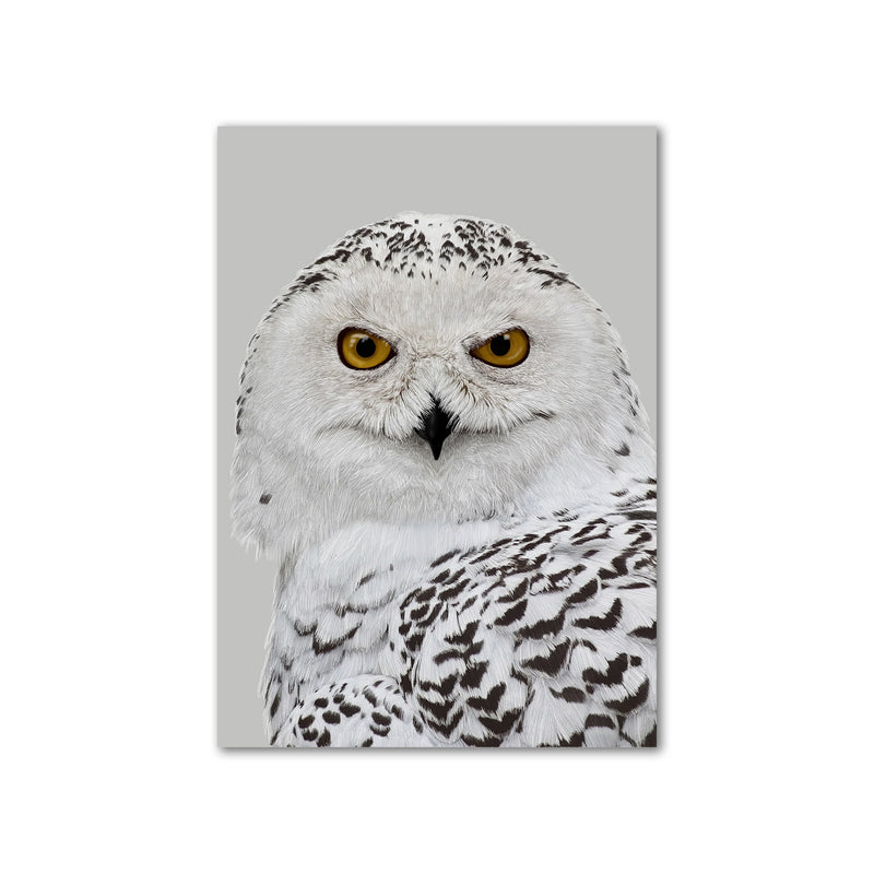 Snowy Owl Wall Art Print