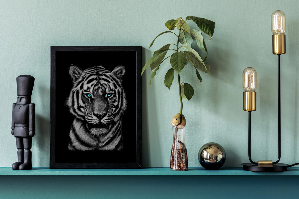 Tiger Blue Eyes Wall Art Print | Art By Toor | Perfect Gift for Animal Lovers | Wall Art for Bedrooms, Home Offices and Kid's Rooms