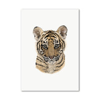 Tiger Cub Wall Art Print hand drawn by Sheetal Toor