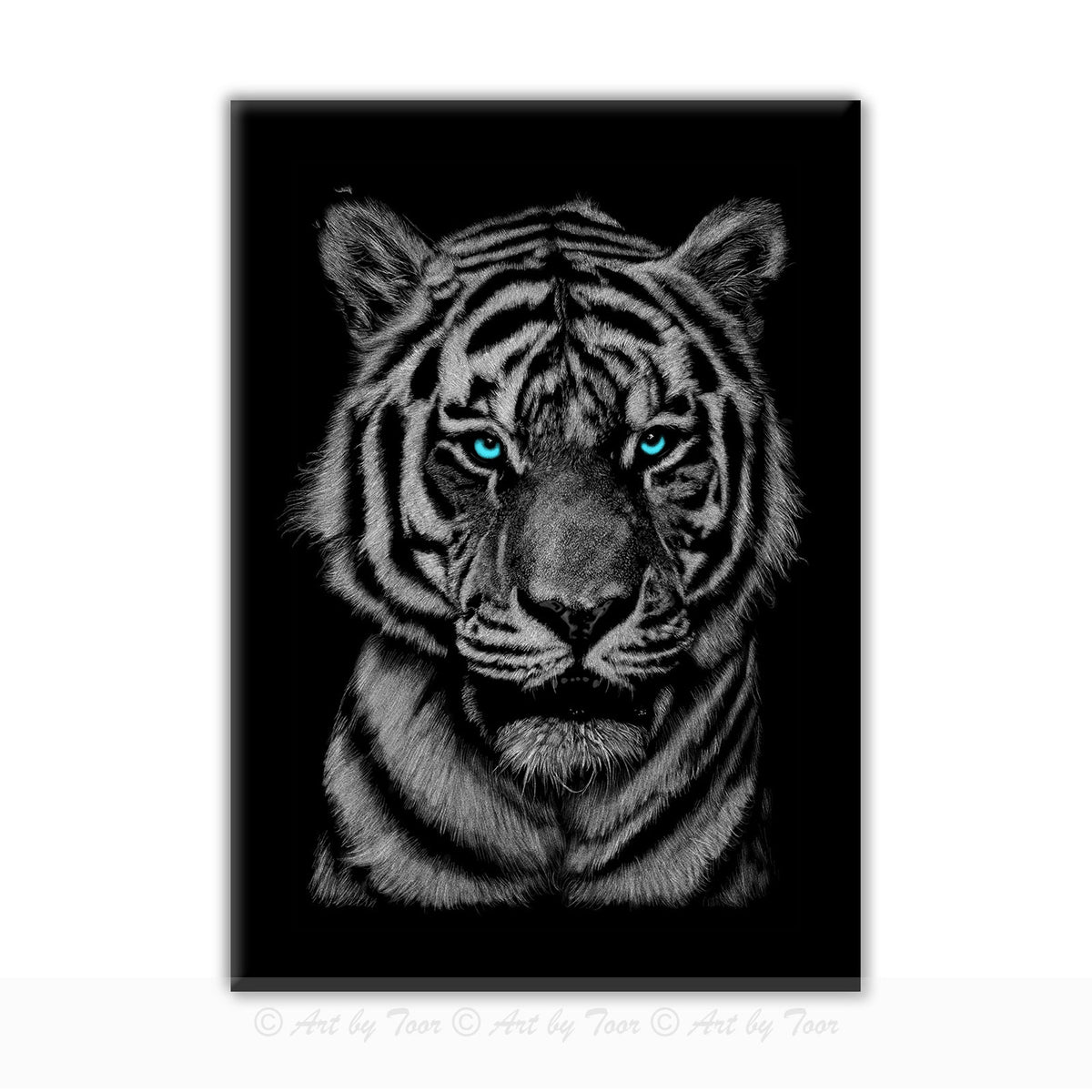 Tiger Blue Eyes Wall Art Print | Art By Toor | Perfect Gift for Animal Lovers | Wall Art for Bedrooms, Home Offices and Kid's Rooms