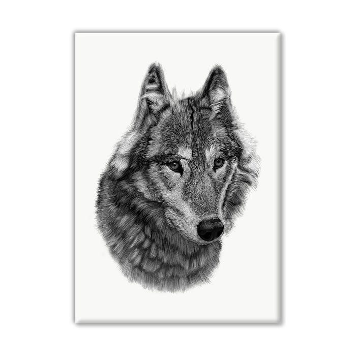 Wolf on White Canvas Wall Art Print
